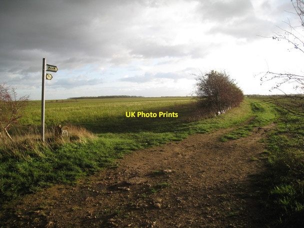 Photo 6"x4" The footpath to Brauncewell Wellingore c2011
