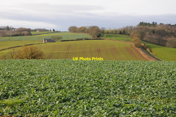 Photo 6"x4" View to Cobbler's Plain Trelleck Grange c2011
