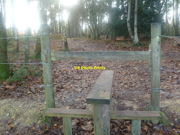 Photo 6"x4" Avon Tyrrell, stile North Ripley c2011