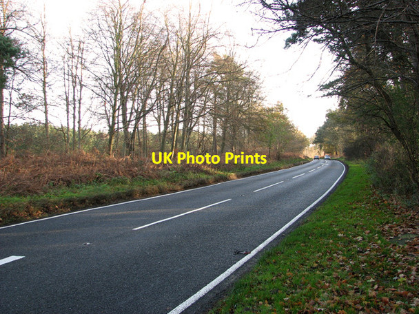Photo 6"x4" The B1107 road from Thetford to Brandon past Shadwell Estate Santon Downham c2011
