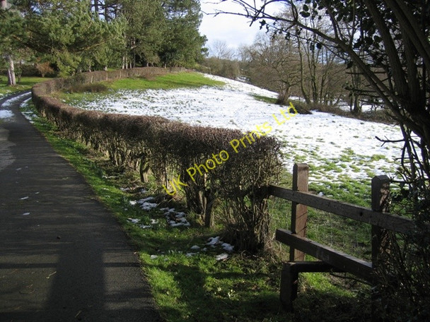 Photo 6"x4" Footpath below Alyn Bank Bryn-yr-ogof c2007