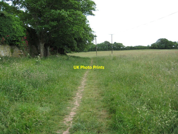 Photo 6"x4" Footpath past Wembury House Knighton\/SX5249 c2011