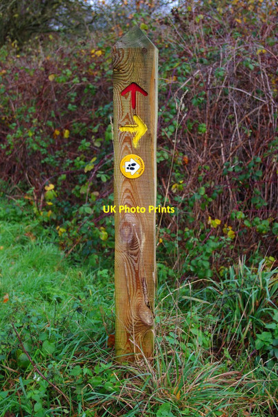 Photo 6"x4" Fitness Trail waymarker, Burlish Top Nature Reserve, Stourport-on-Severn Stourport-on-Severn c2011