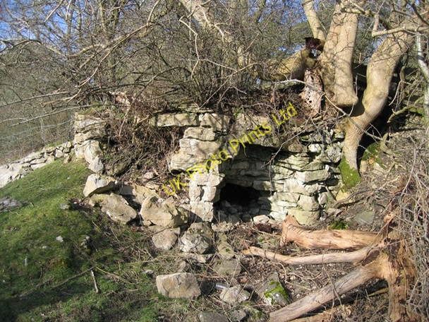 Photo 6"x4" Lime Kiln near Llanarmon yn Ial Bryn-yr-ogof c2007 P1