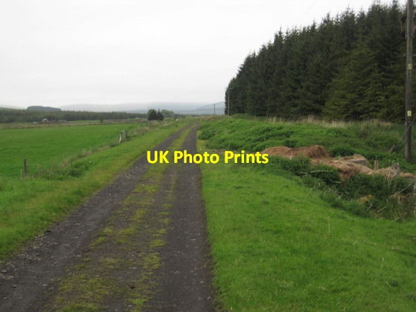 Photo 6"x4" Track Bed of Border Counties Railway leading to Deadwater Station Kielder c2011
