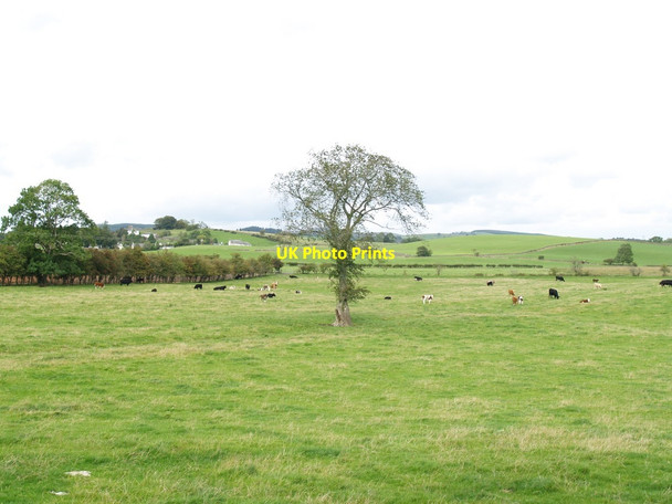 Photo 6"x4" Farmland Towards Forge Burn Kirkpatrick Durham c2010