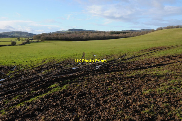 Photo 6"x4" Farmland at Birdwood Birdwood c2011