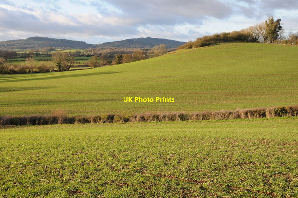 Photo 6"x4" The Hill Oakle Street c2011