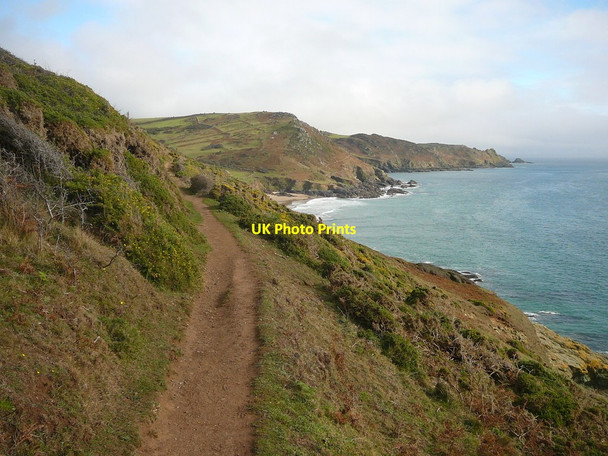 Photo 6"x4" On the coastal path below Portlemouth Down Salcombe c2011