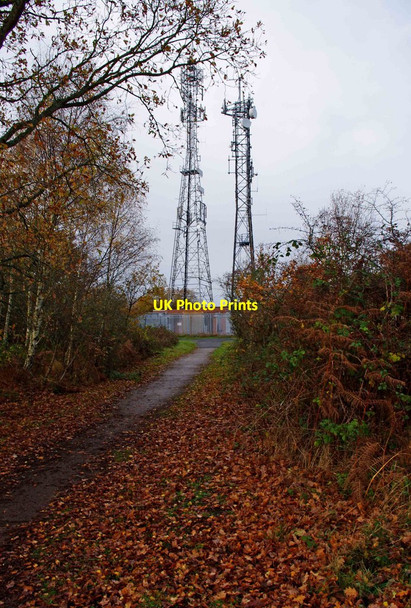 Photo 6"x4" Masts at Burlish Top Nature Reserve, Stourport-on-Severn Stourport-on-Severn c2011