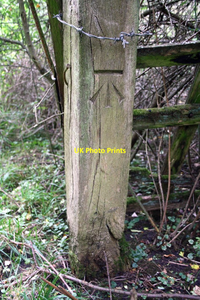Photo 6"x4" Benchmark on wooden gatepost East Hanney c2011