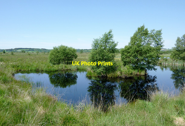 Photo 6"x4" Pool on Cors Caron  (July), Ceredigion Tregaron c2011