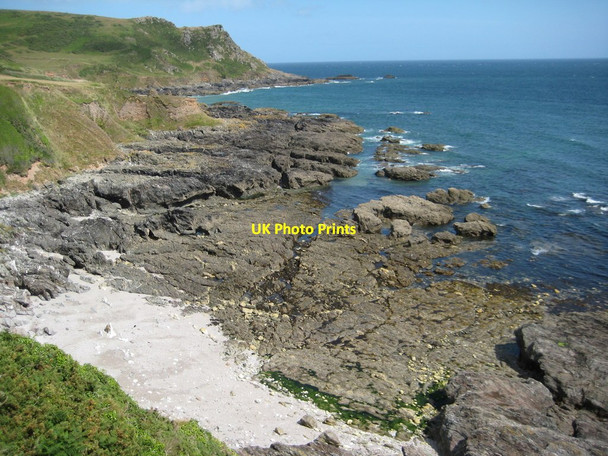 Photo 6"x4" Limpet Cove Bickerton\/SX8138 c2011