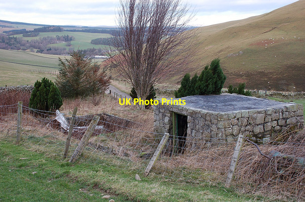 Photo 6"x4" Ruined dwelling above Eddleston Eddleston c2012