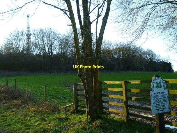 Photo 6"x4" National Trust notice on Bignor Hill Upwaltham c2012