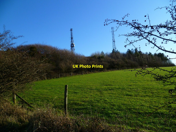 Photo 6"x4" The masts at Glatting Beacon Upwaltham c2012