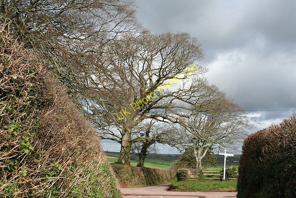 Photo 6"x4" Colebrooke: Broomhill Cross Coleford\/SS7701 c2007