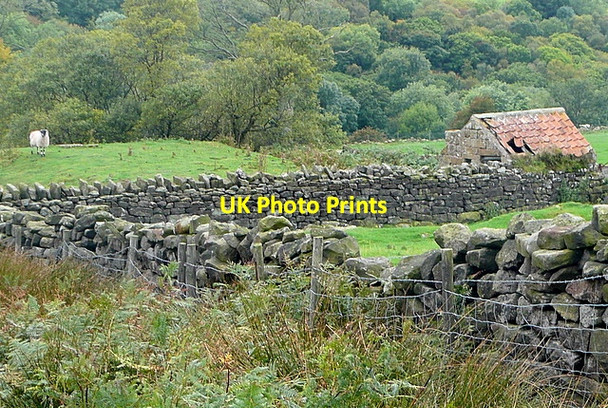 Photo 6"x4" Near Moor Lane Farm Esk Valley c2011