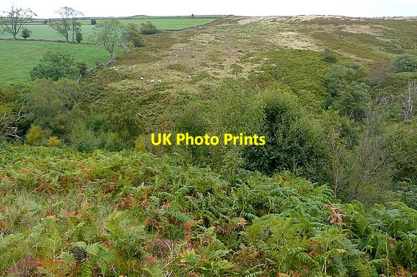Photo 6"x4" Footpath above Lythe Beck Esk Valley c2011
