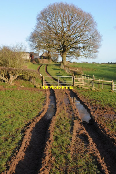 Photo 6"x4" Muddy track, Lawns Farm Ross-on-Wye c2011