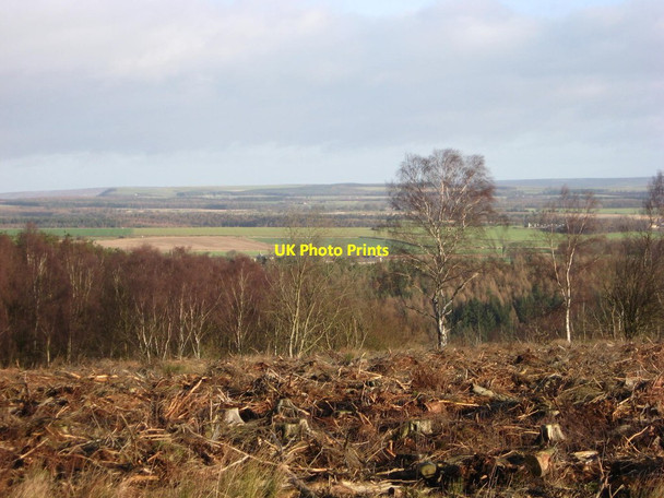 Photo 6"x4" View from the forest track junction Rievaulx c2012
