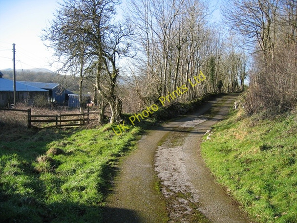 Photo 6"x4" Track and Footpath near Allt Gymbyd farm Gwernol c2007