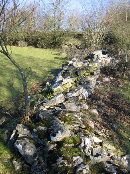 Photo 6"x4" Ruined Wall Bryn-yr-ogof c2007