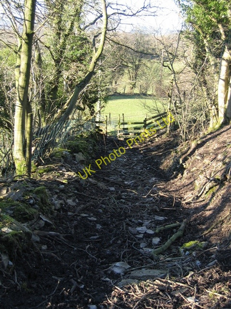Photo 6"x4" Footpath and Hollow Way Bryn-yr-ogof c2007