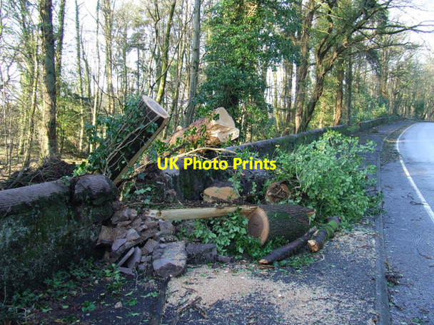 Photo 6"x4" After the storm Inverkip c2012 P1