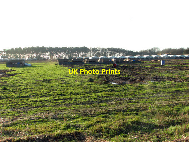 Photo 6"x4" Pig houses by Fourteen Acre Plantation, Swaffham Swaffham c2012