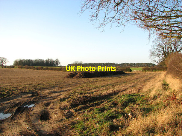 Photo 6"x4" Entrance into a field north of the A47 road (Swaffham) Swaffham c2012