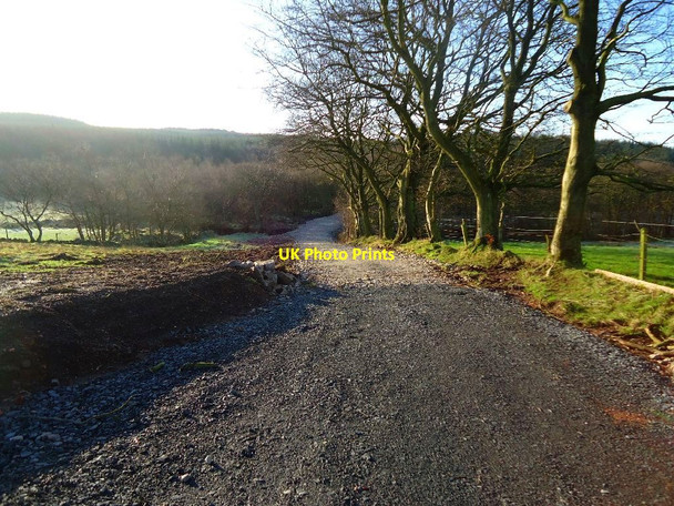 Photo 6"x4" Castlecary High Wood Greenhill\/NS8278 c2012