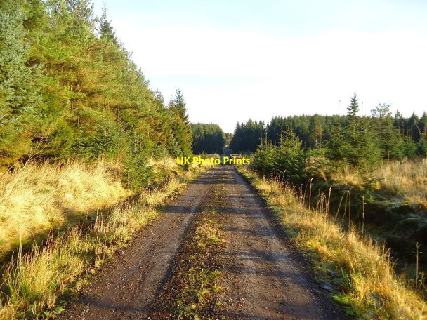 Photo 6"x4" Loanfoot Plantation [8] Greenhill\/NS8278 c2012