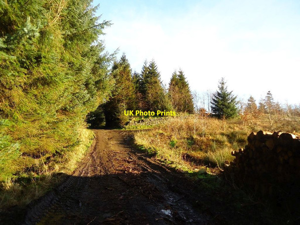 Photo 6"x4" Loanfoot Plantation [11] Greenhill\/NS8278 c2012