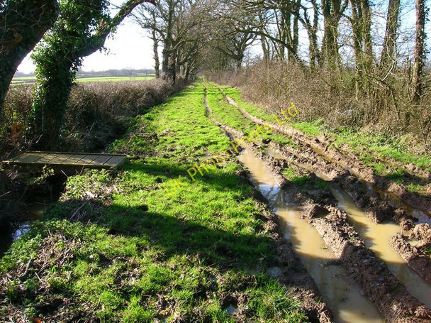 Photo 6"x4" Green Lane Burgh Hill\/TQ5412 c2007