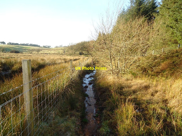 Photo 6"x4" Beam, aquatic Right of Way Greenhill\/NS8278 c2012