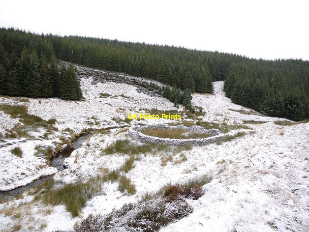 Photo 6"x4" Sheepfold by Davidson's Burn Davidson's Burn c2012