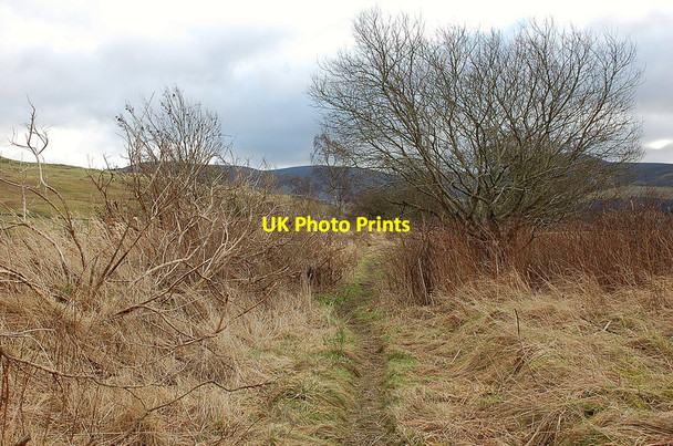 Photo 6"x4" Ex-railway line east of Broughton Broughton\/NT1136 c2012