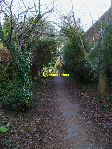 Photo 6"x4" Footpath from Stockbridge Road to the Chichester Canal Chichester c2012