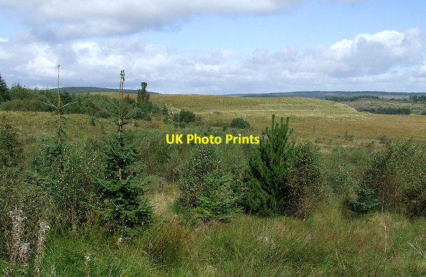 Photo 6"x4" Moorland and forest south-east of Soar-y-Mynydd, Ceredigion Pen y Gurnos c2010
