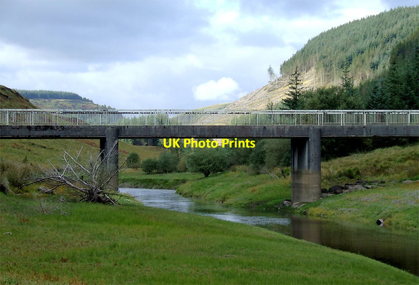 Photo 6"x4" Cwm Tywi at Tywi Bridge, Ceredigion Bryn Mawr\/SN7953 c2010