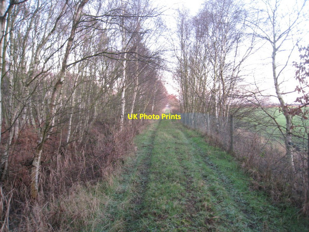 Photo 6"x4" Track on the edge of Misson Carr Nature Reserve Westwoodside c2012