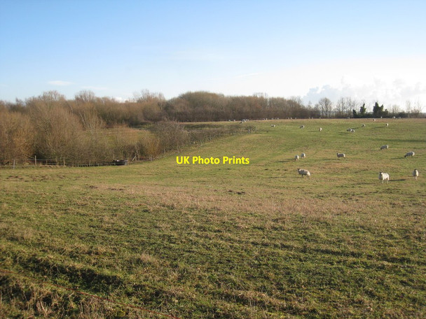 Photo 6"x4" Partly reclaimed former sand pit Misson c2012