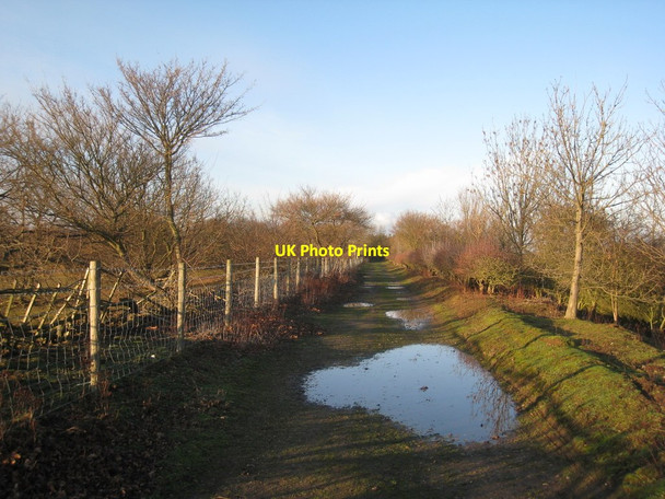 Photo 6"x4" Rugged Butts Lane Misson c2012