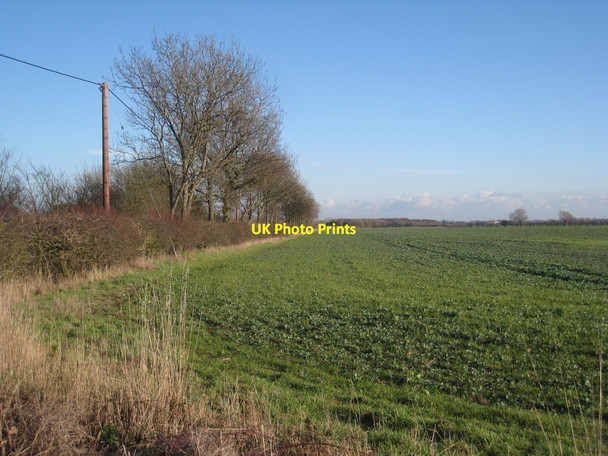 Photo 6"x4" Fields north of Misson Misson c2012