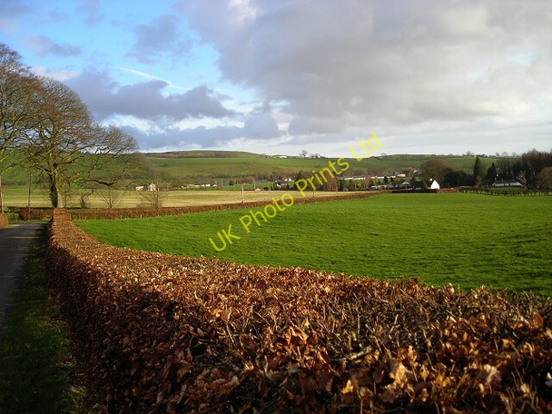 Photo 6"x4" Hedge And Fields Near Amisfield Amisfield c2007