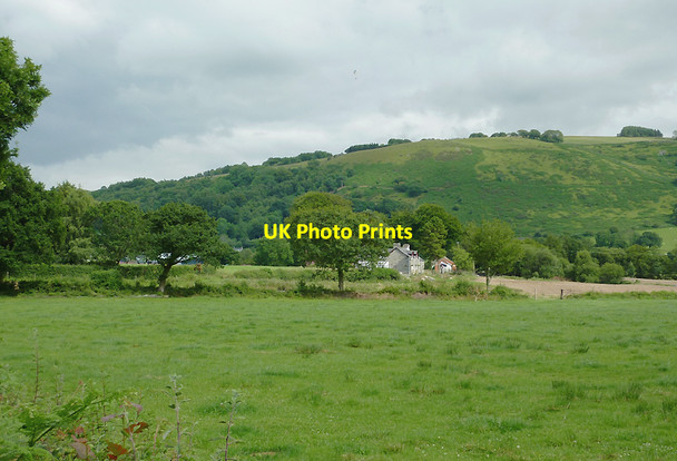 Photo 6"x4" Pasture near Pont Gogoyan, Ceredigion Cockshead c2011