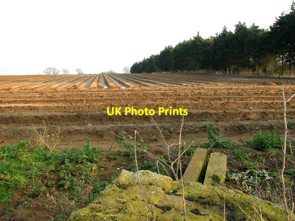 Photo 6"x4" Cultivated field near Hollesley Hollesley c2012