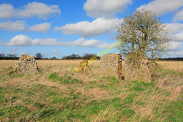 Photo 6"x4" Site of Roman Villa on Wood Farm, nr Bramdean Bramdean c2007