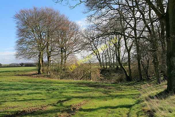 Photo 6"x4" Tree-lined pit on Wood Farm, nr Bramdean Bramdean c2007